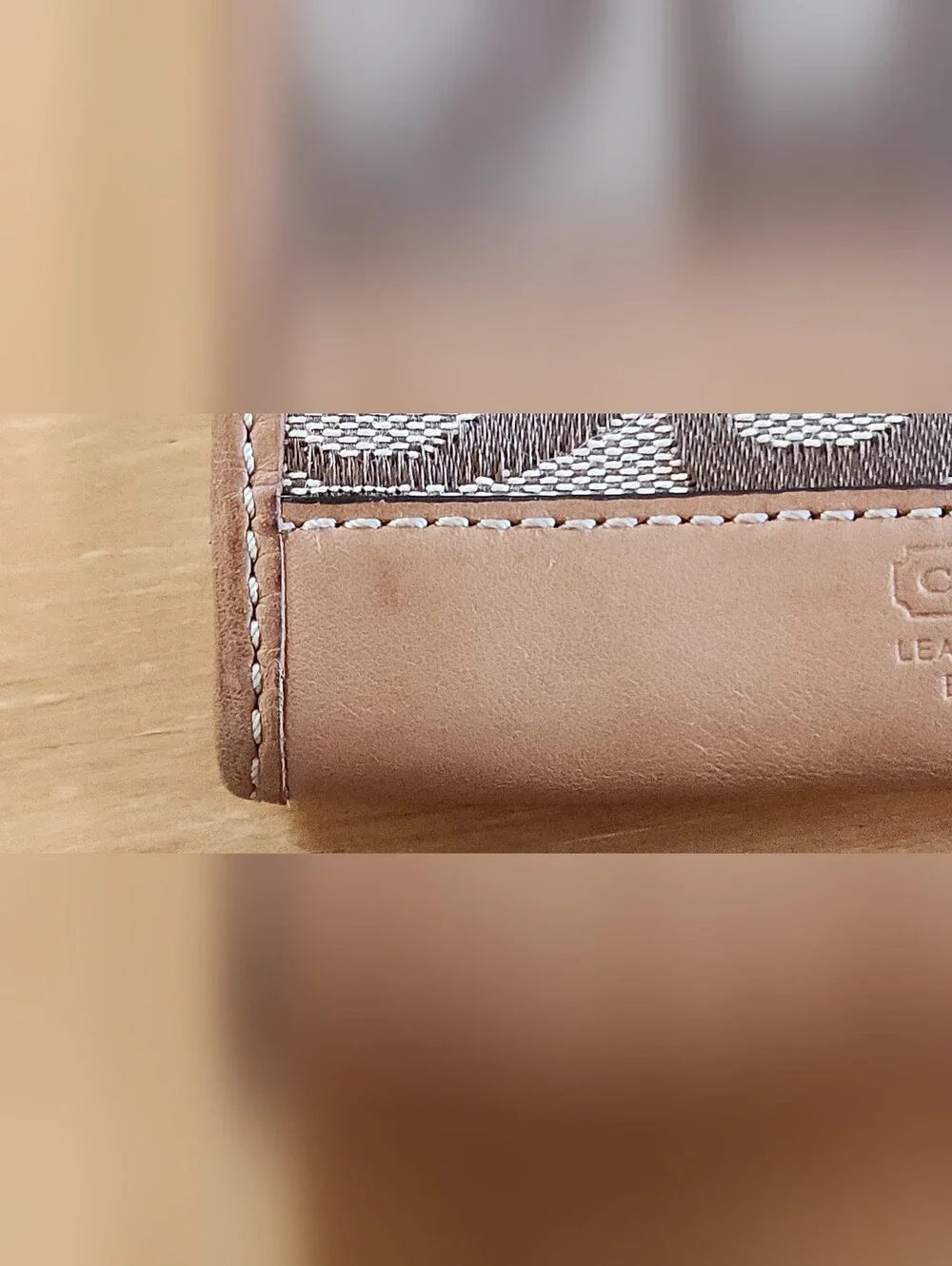 Coach Y2K Signature Canvas Card Case